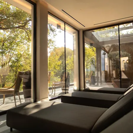 Airone Wellness 4*