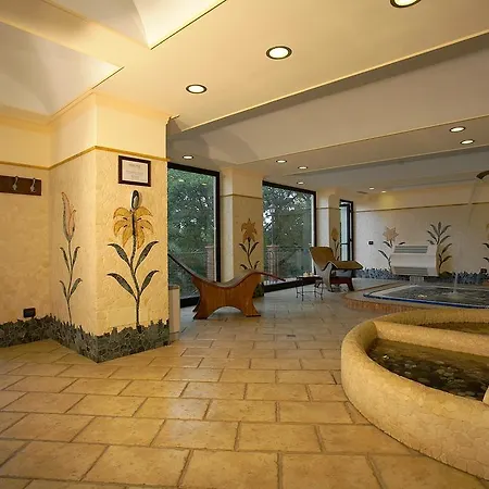 Hotel Airone Wellness