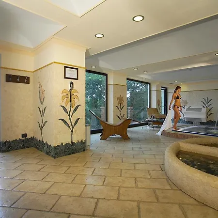 Hotel Airone Wellness 4*